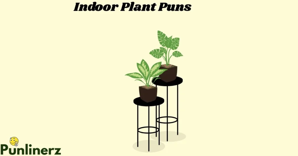 Indoor Plant Puns